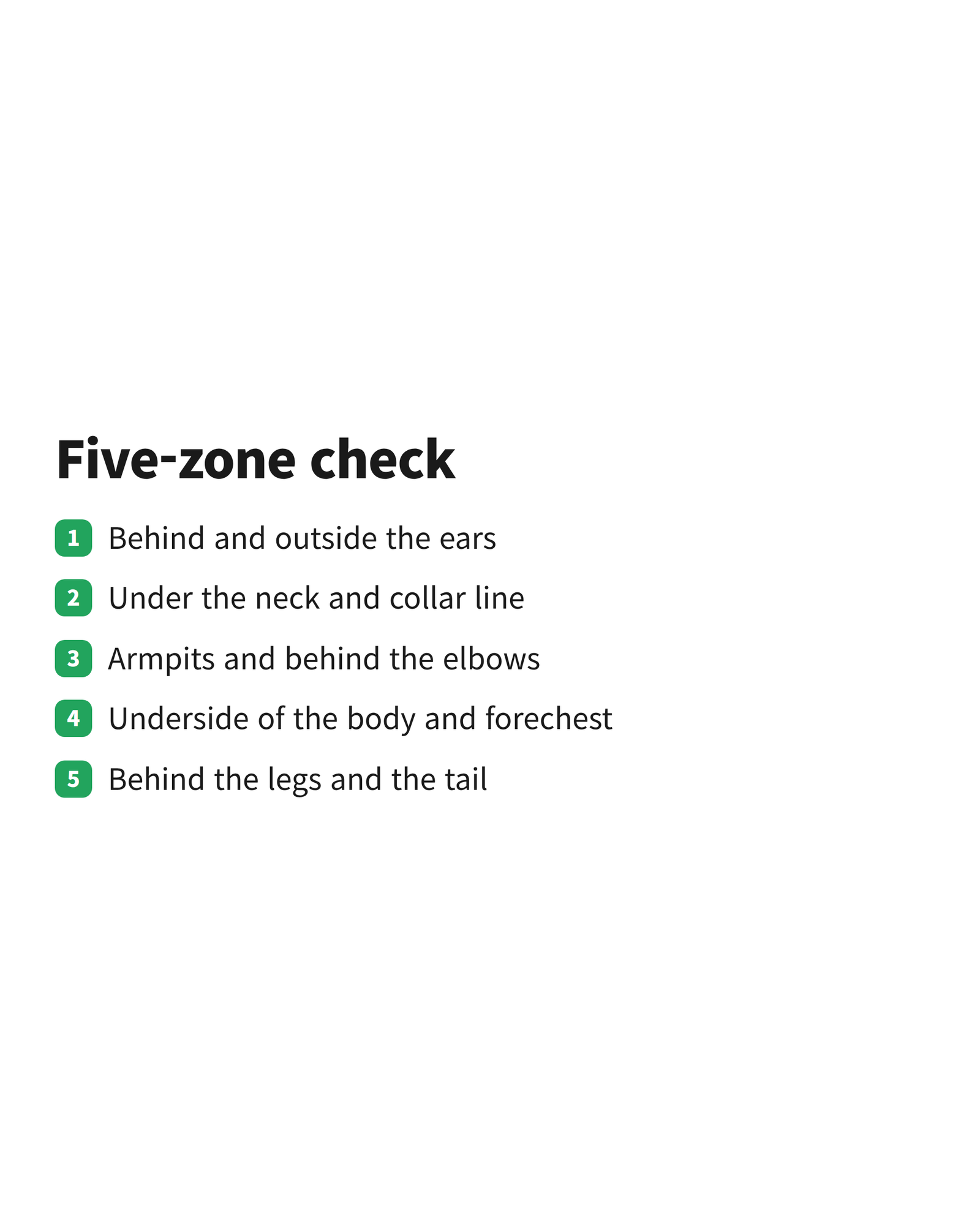 A five item checklist covering ears, neck and collar line, armpits, underbody and the hair behind the legs and tail