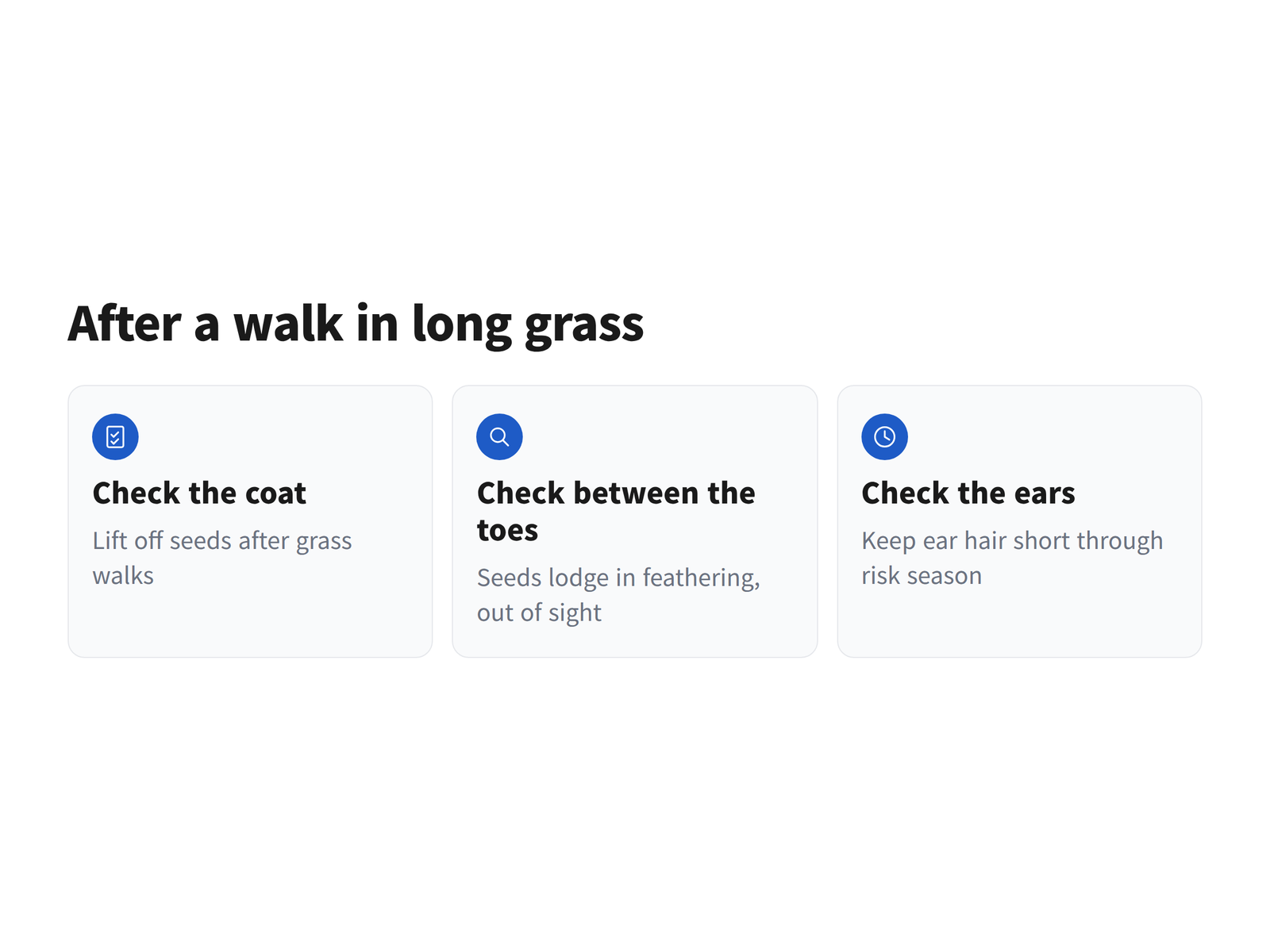 A three-step illustration of an after-walk check covering the coat, the spaces between the toes and the ears