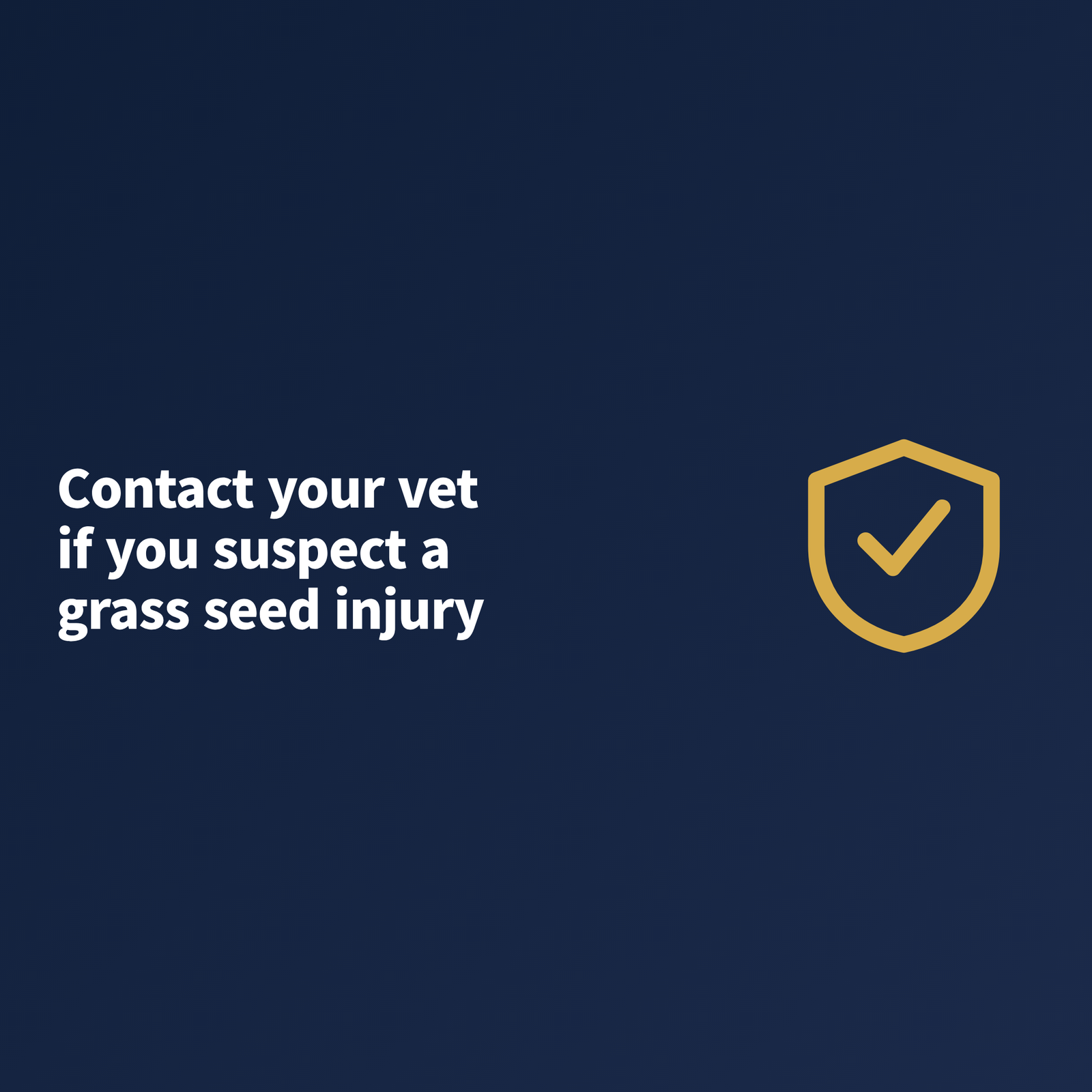 A banner reading that owners should contact their vet if they suspect a grass seed injury