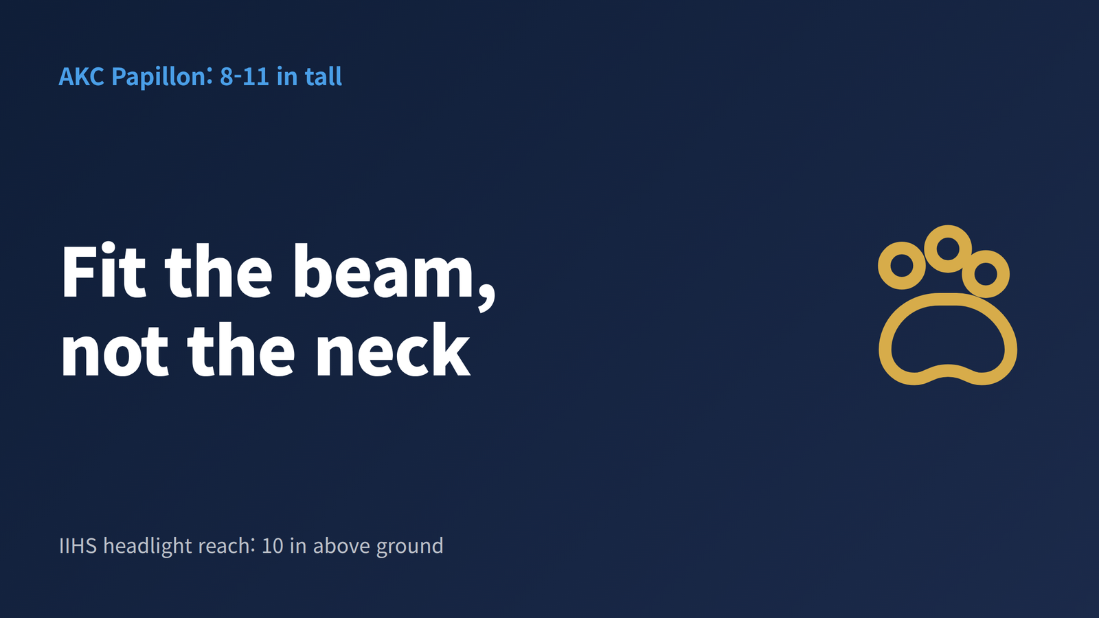 Graphic contrasting an 8 to 11 inch small dog height with the 10 inch IIHS headlight measurement height, headlined "Fit the beam, not the neck"