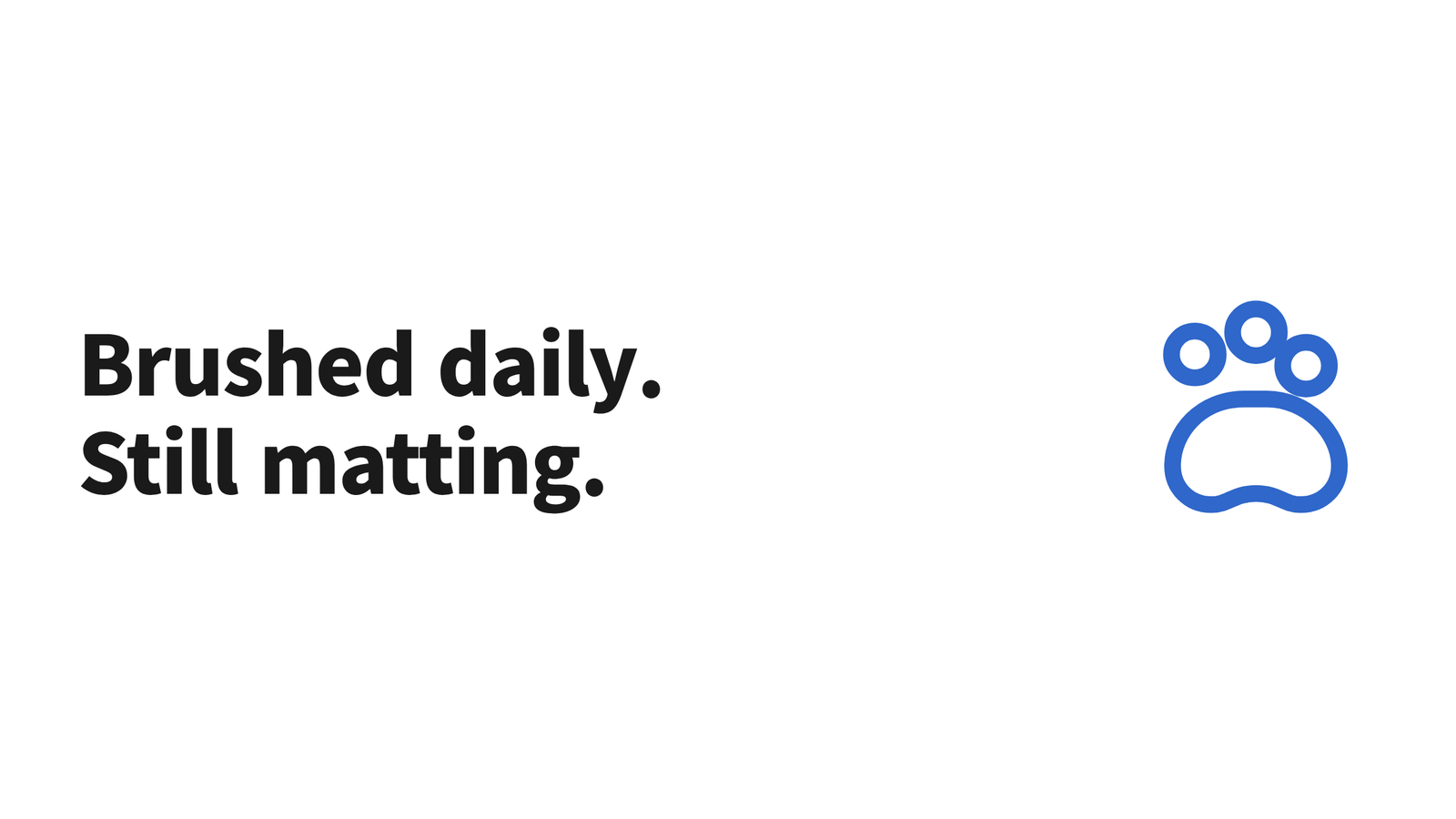 A hero graphic reading "Brushed daily. Still matting." beside a paw icon
