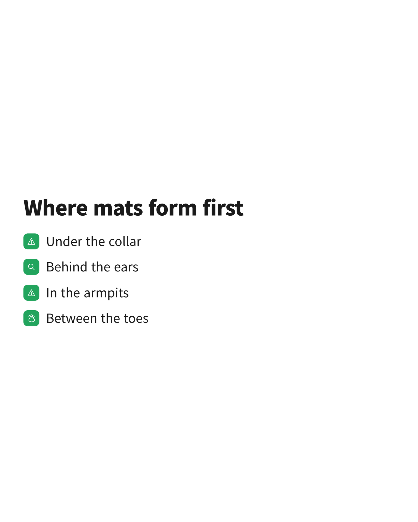 image A checklist naming four places mats form first: the collar, behind the ears, the armpits and between the toes