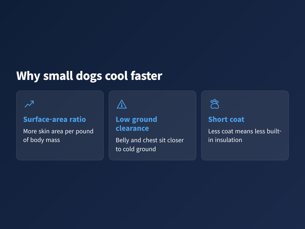 Three illustrated cards showing why a small dog cools faster than a large dog in winter