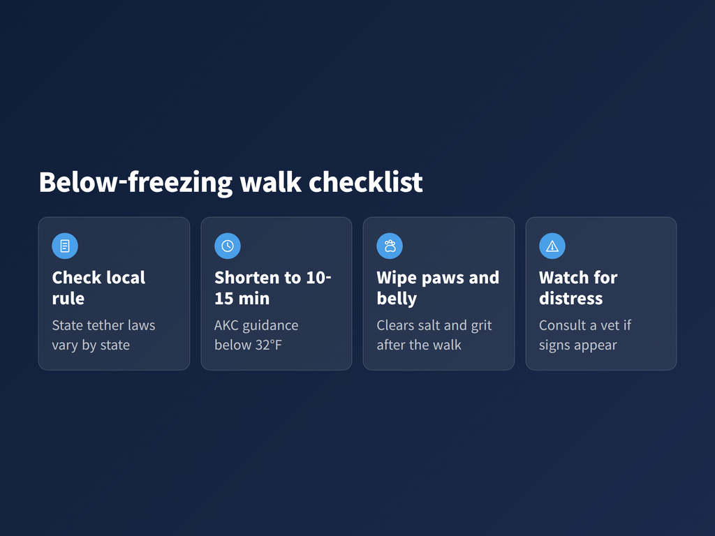 A four-step winter walk checklist for a small dog below freezing