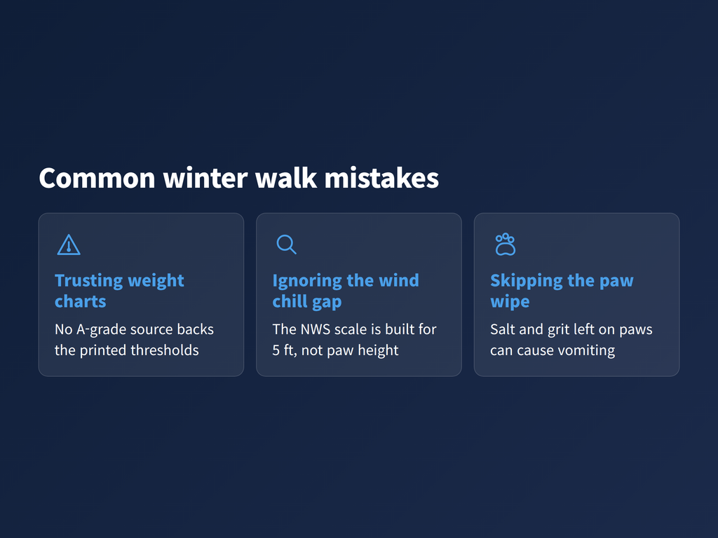 Three cards showing common winter walking mistakes owners make with small dogs