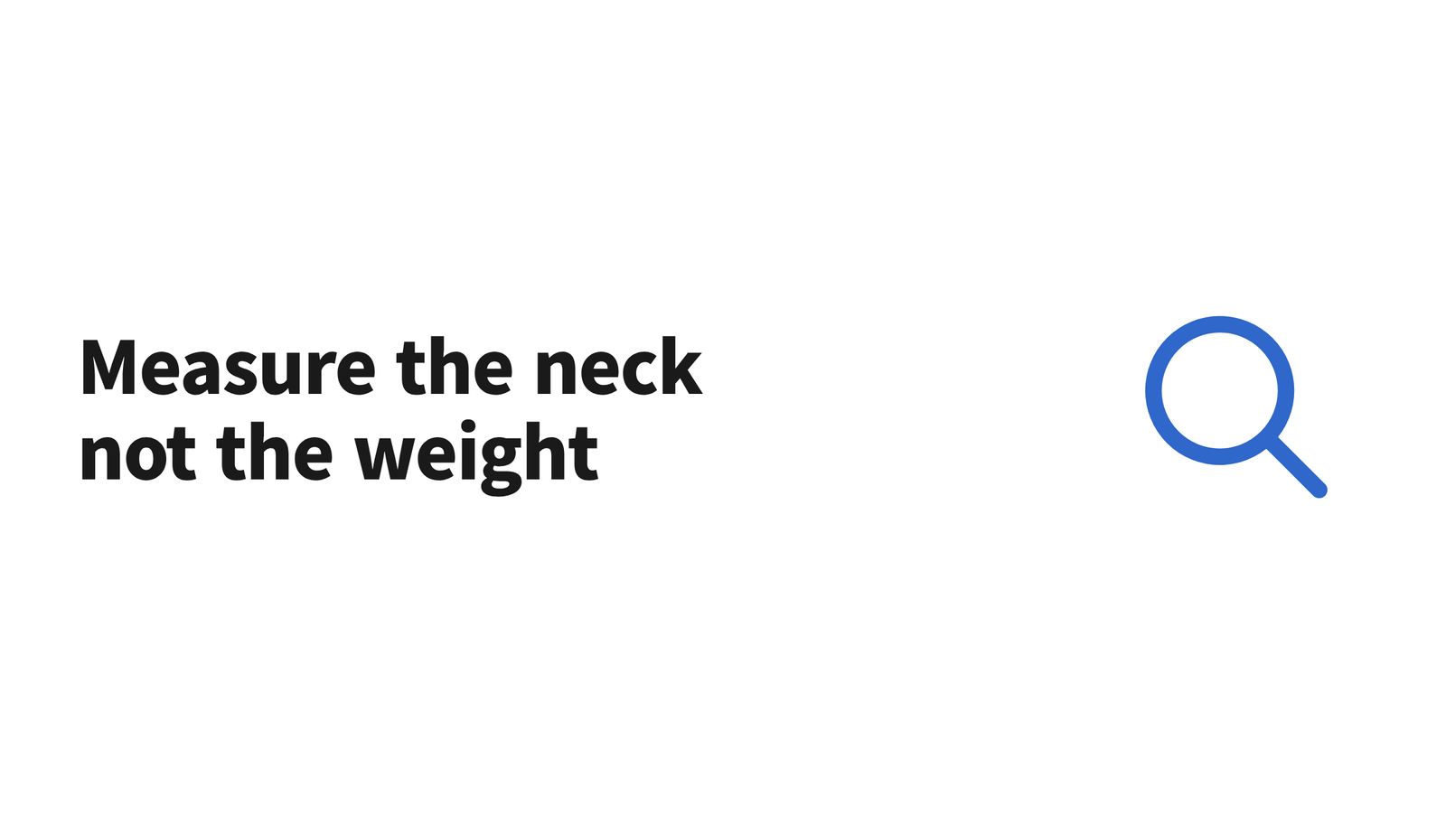 A soft measuring tape wrapped around a small dog's neck beside a flat buckle collar