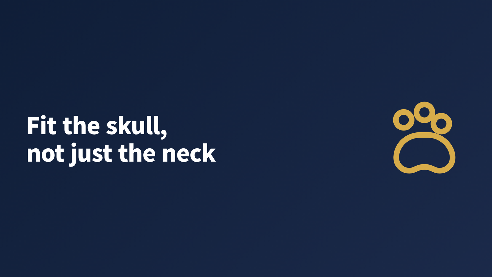 A small narrow-skulled dog wearing a correctly fitted flat collar, shown from the side