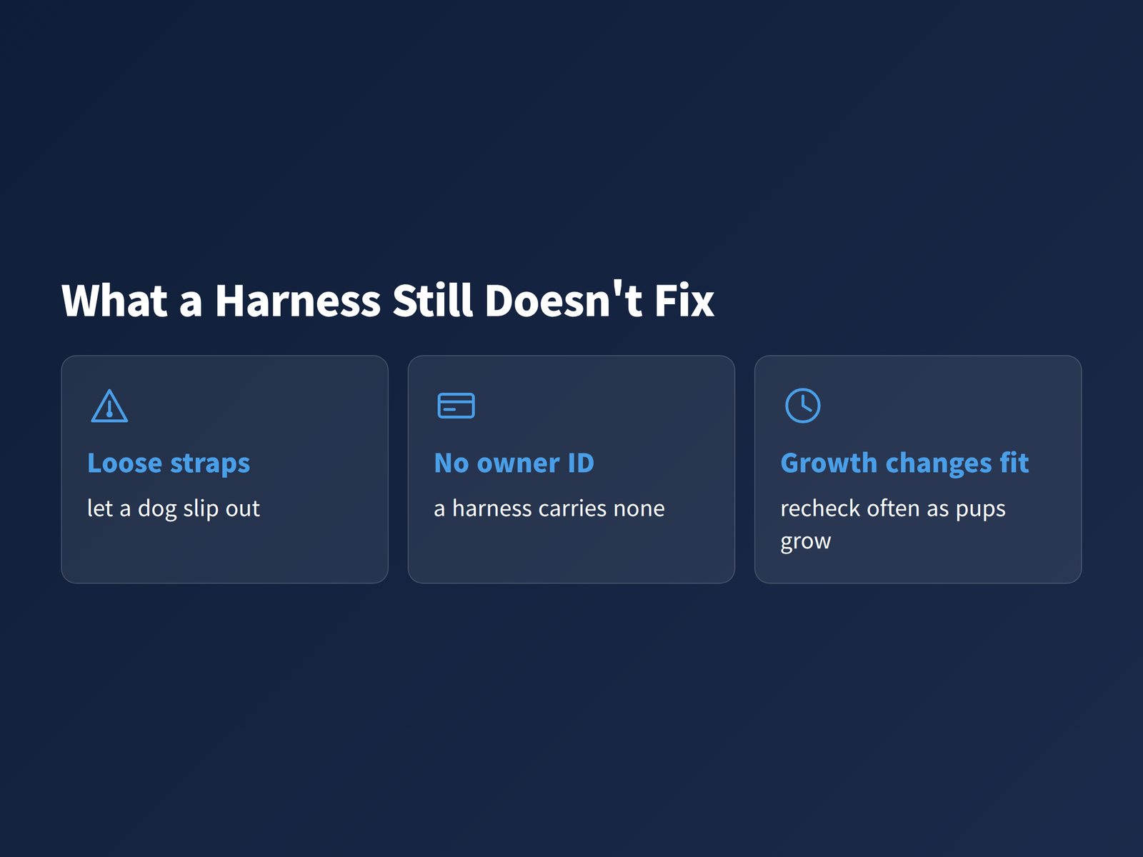 image Three cards listing what a correctly chosen harness still does not solve for a small dog