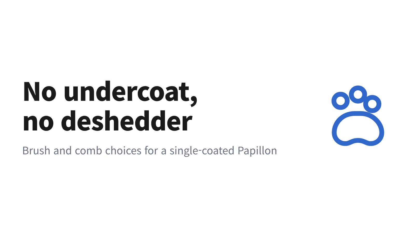Infographic slide reading "No undercoat, no deshedder" with the subhead "Brush and comb choices for a single-coated Papillon" beside a paw icon