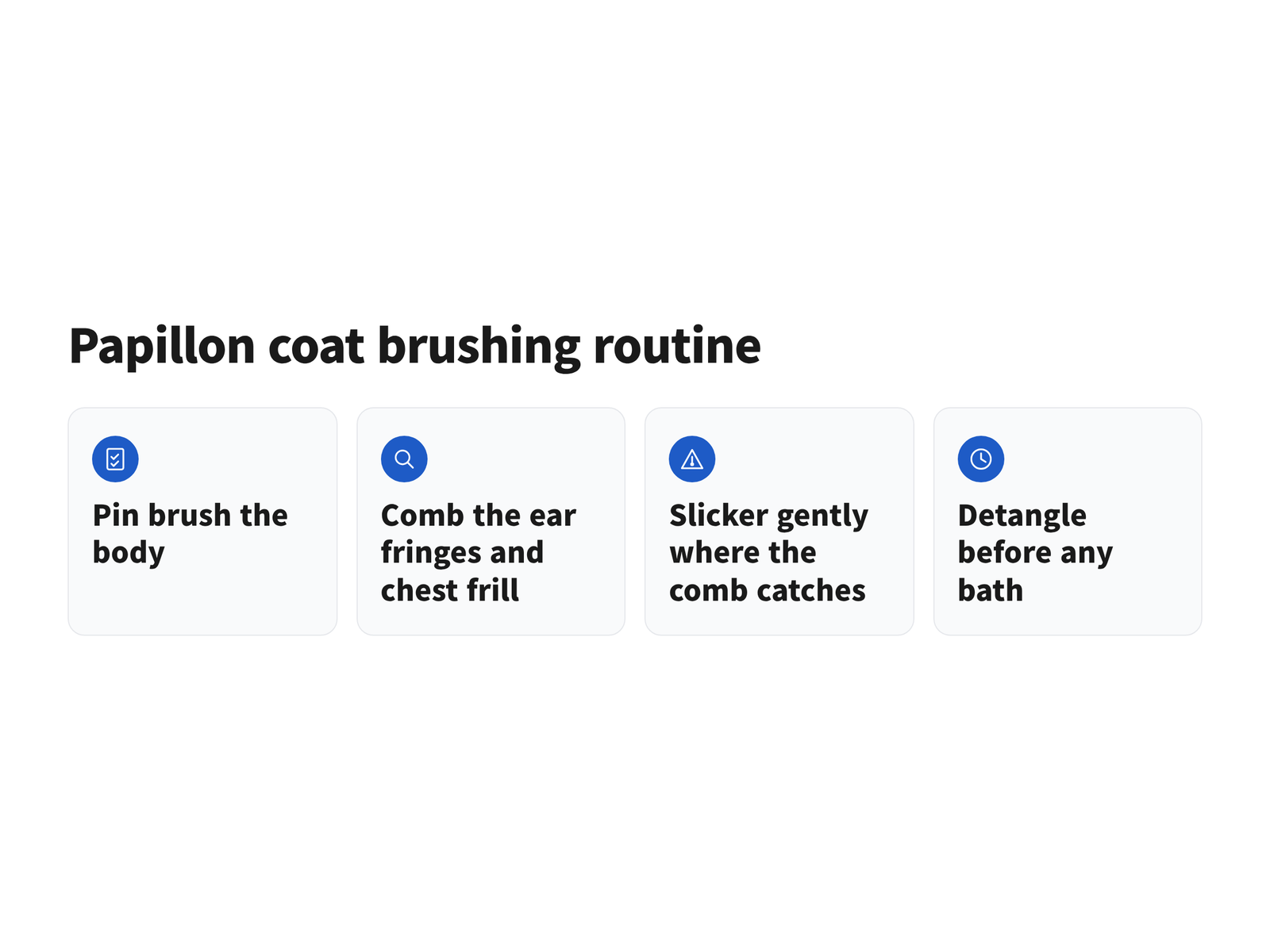 image Four-step routine for brushing and combing a Papillon coat, ending with detangling before a bath