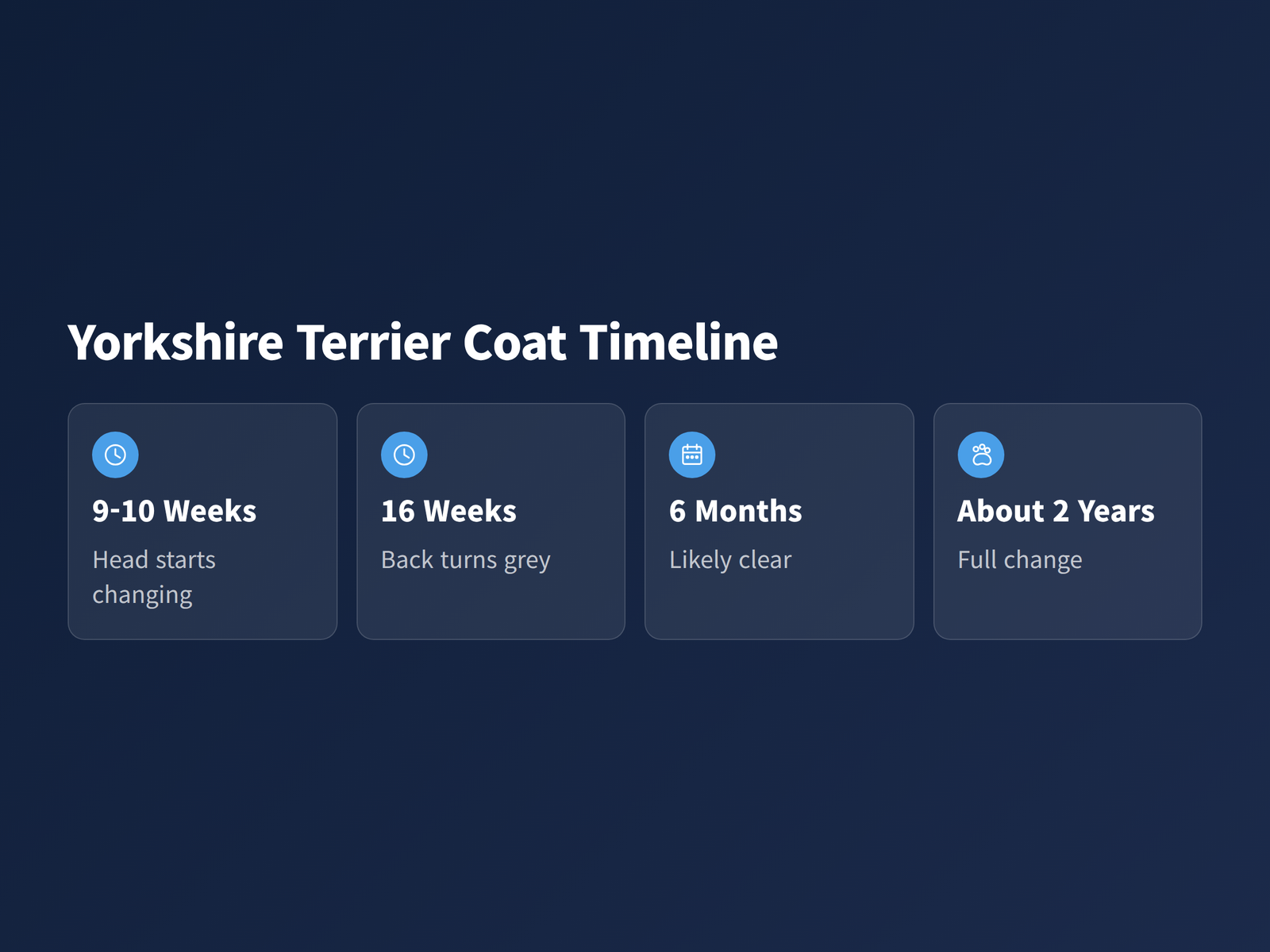 Four stages of a Yorkshire Terrier coat changing from black and tan to blue and tan between 9 weeks and about two years