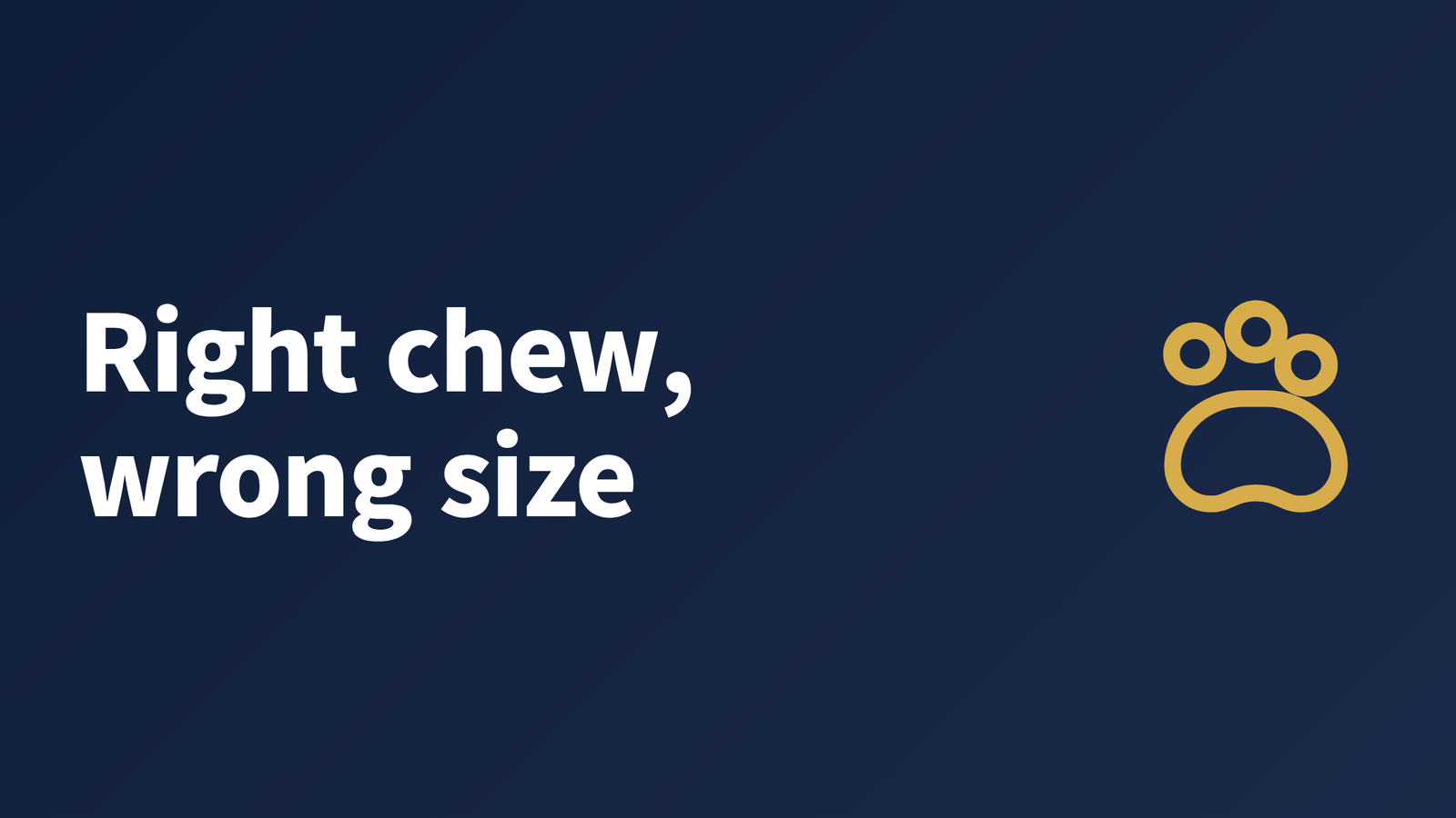 A Shih Tzu sitting beside several dental chews of different sizes and shapes