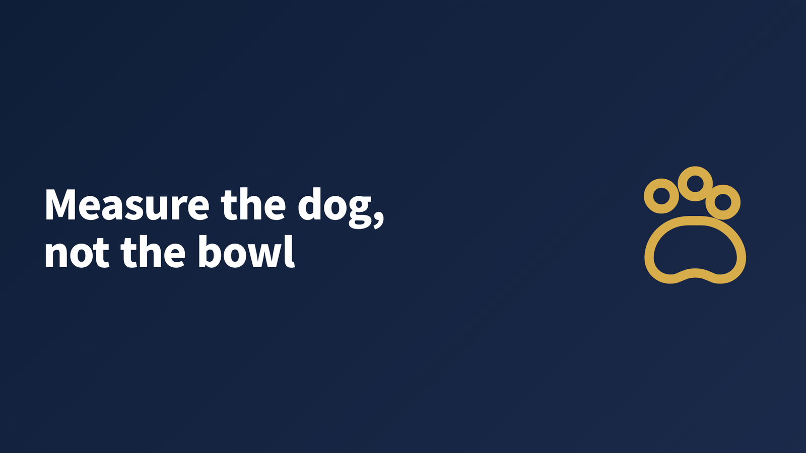A long-backed miniature dachshund standing square on a level floor beside a food bowl placed at ground level