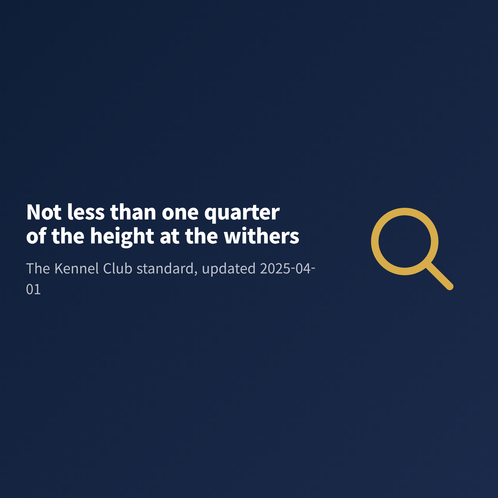 image A typographic slide stating the Kennel Club ground clearance requirement of not less than one quarter of the height at the withers