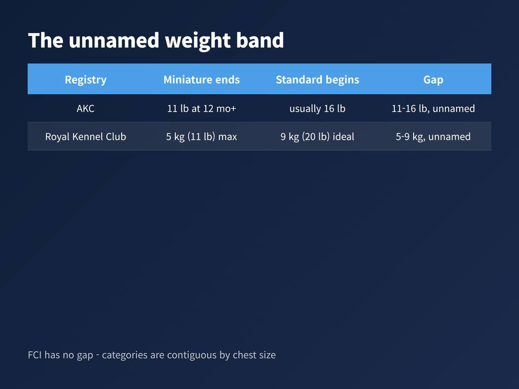 A chart showing the unnamed weight band between miniature and standard under American Kennel Club and Royal Kennel Club wording
