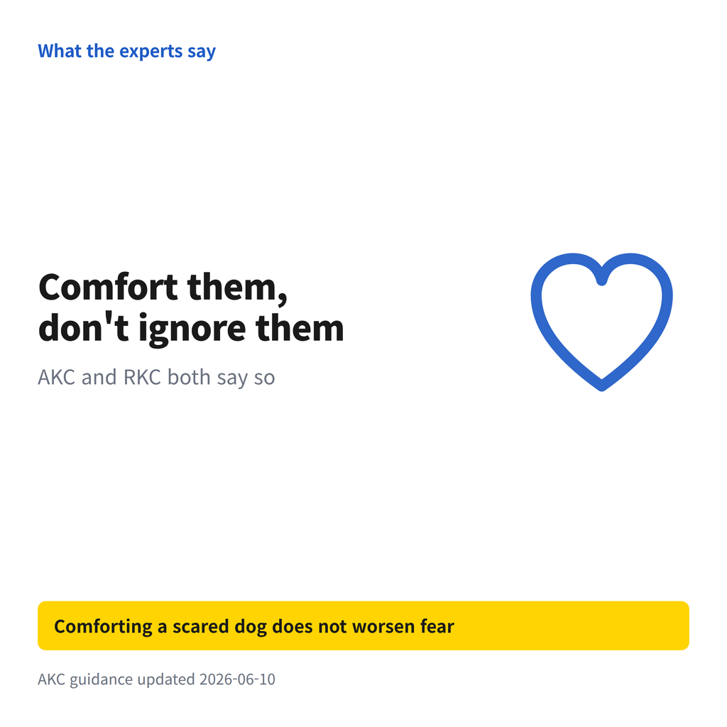 image A statement that comforting a frightened dog is advised by the American Kennel Club and the Royal Kennel Club