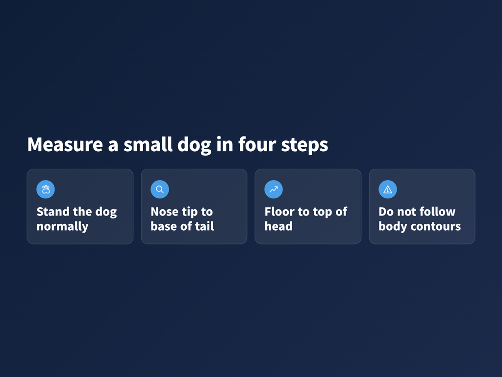 image A four-step sequence showing where to place a tape measure on a standing small dog