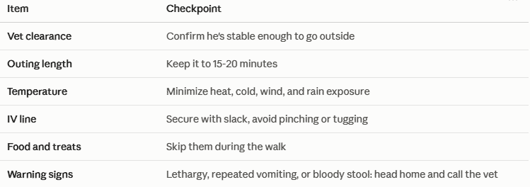 Checklist table for safely stroller-walking a dog recovering from gastroenteritis