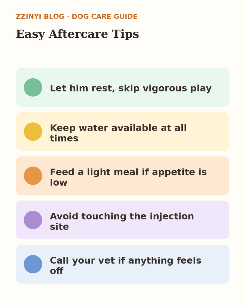 Illustration listing five aftercare tips for a dog after a rabies vaccine