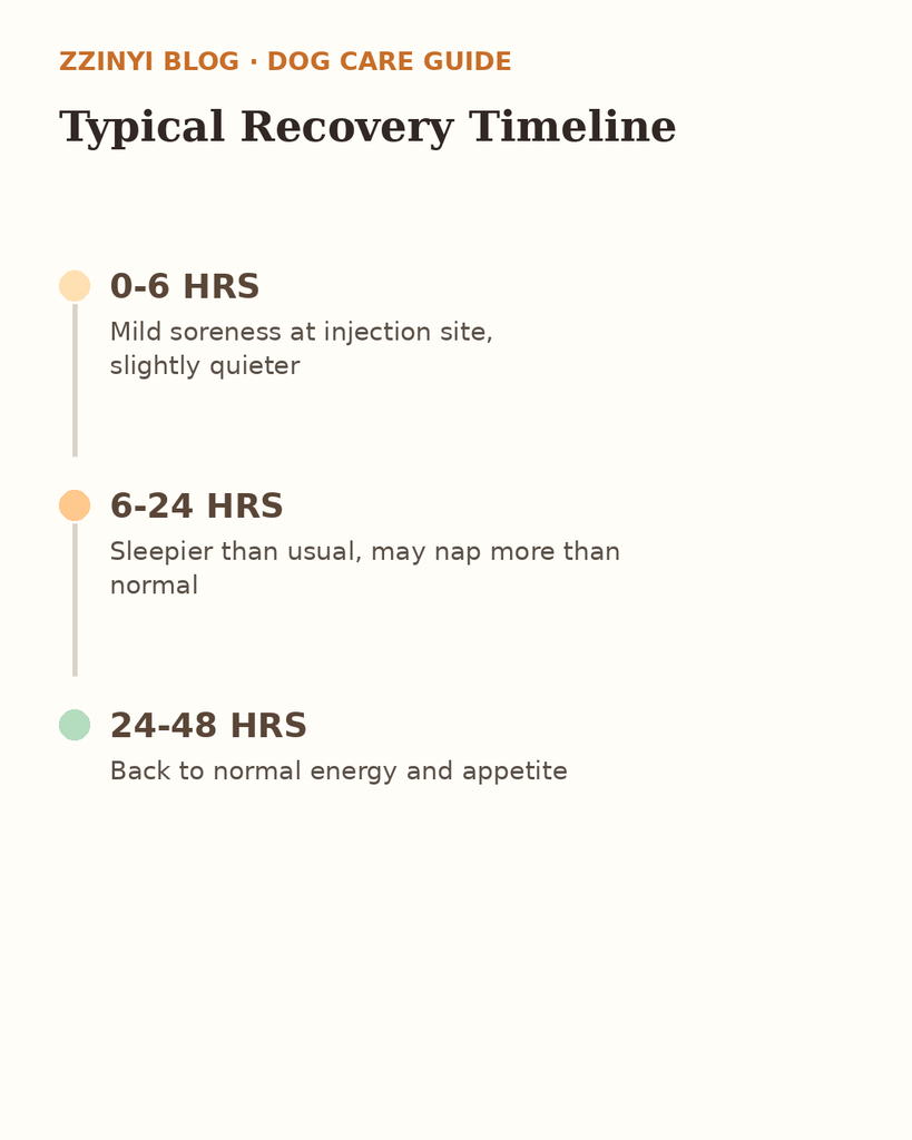 Illustration of a timeline showing typical dog recovery stages after a rabies vaccine over 48 hours