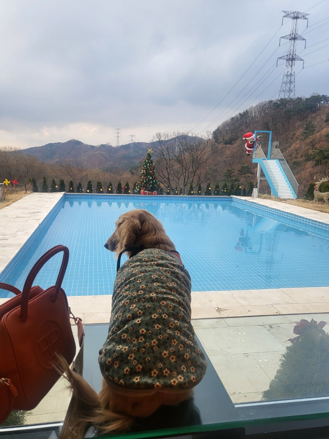 ZzinYi is waiting shower time after swimming.