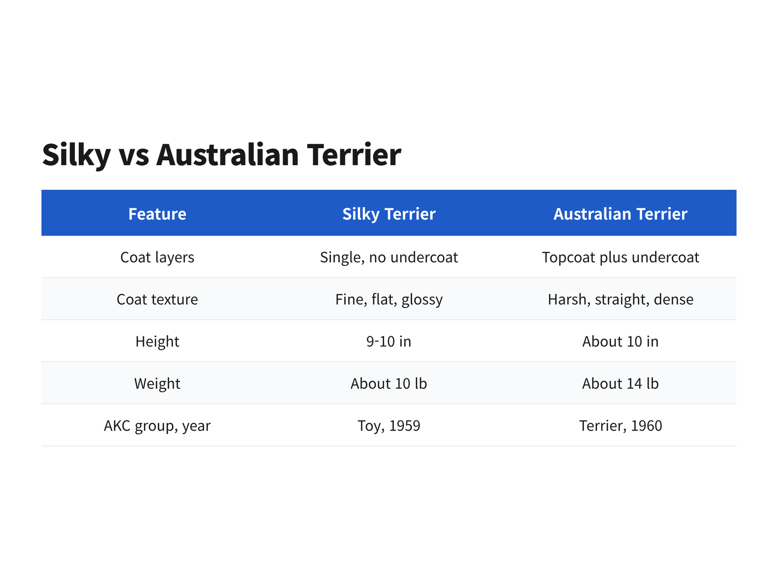 image Silky Terrier and Australian Terrier compared by coat layers, texture, height, weight and AKC group