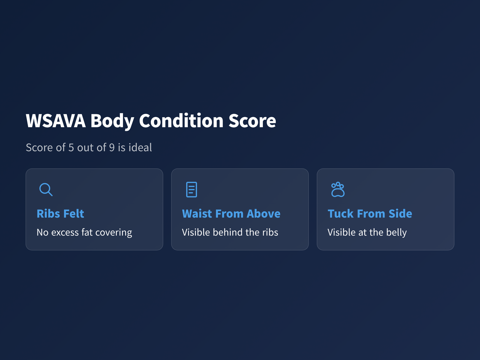 image The WSAVA ideal body condition score of 5 described for a small dog