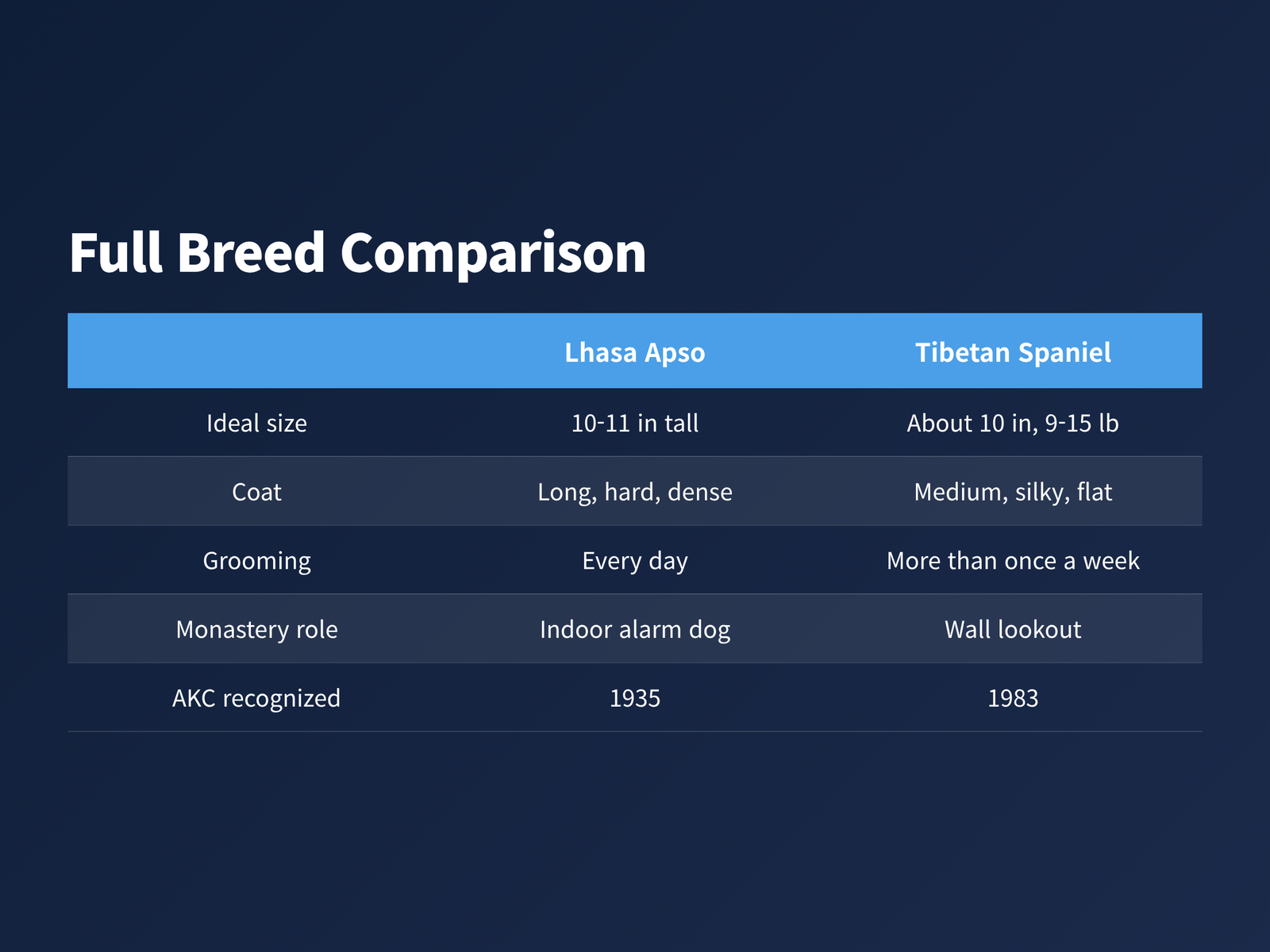 image Lhasa Apso and Tibetan Spaniel compared on size, coat, grooming, monastery role and AKC recognition