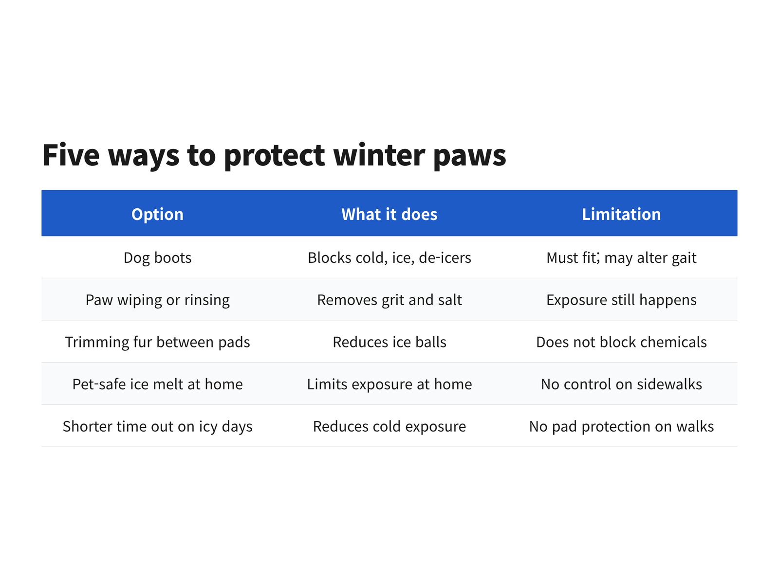 Comparison of five winter paw protection options for small dogs with what each does and its main limitation