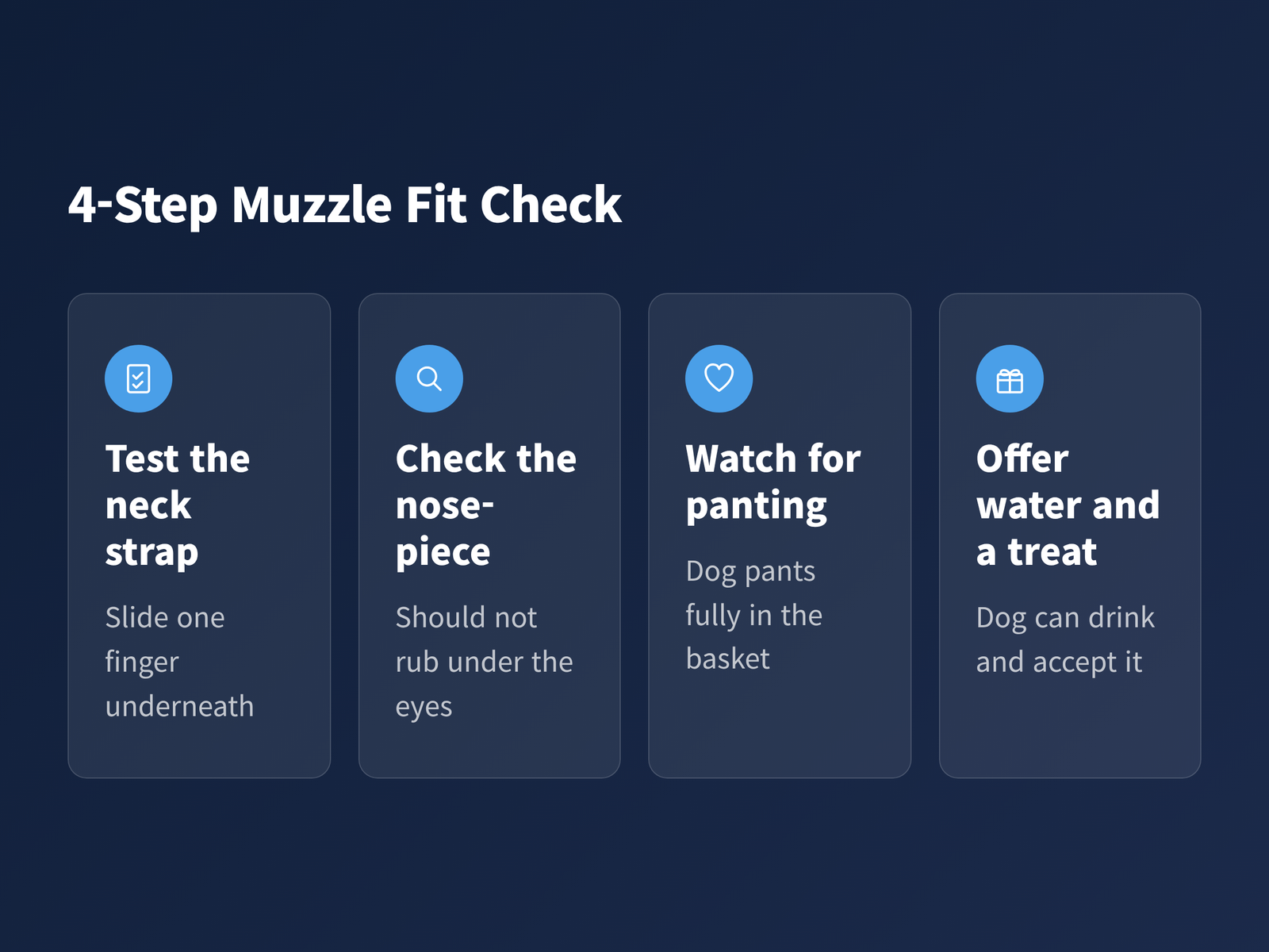 image A four-step muzzle fit check for a flat-faced small dog