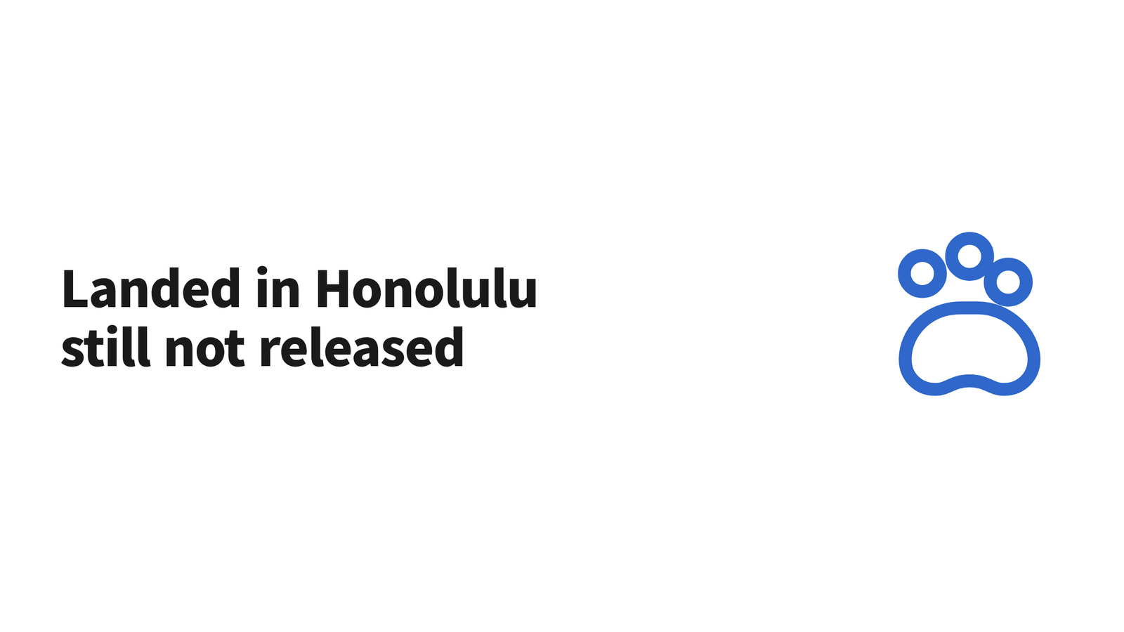 A small dog in a soft carrier waiting for inspection at Honolulu airport