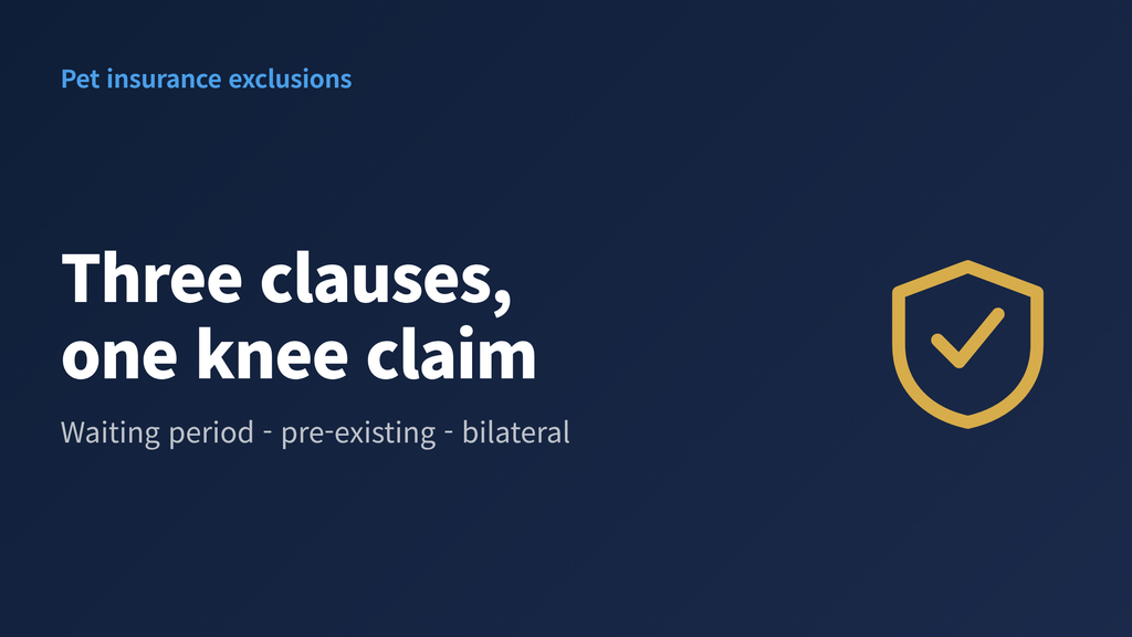 image A small dog's hind leg beside a pet insurance policy with the waiting period, pre-existing and bilateral clauses highlighted