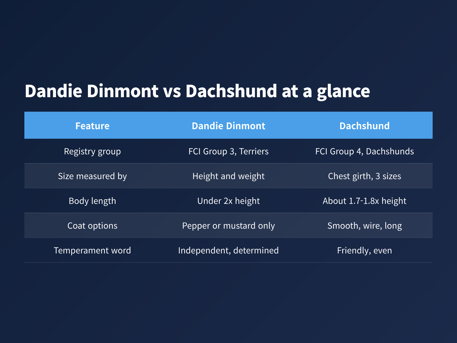 Comparison table of the Dandie Dinmont Terrier vs Dachshund covering group, size, body length, coat and temperament